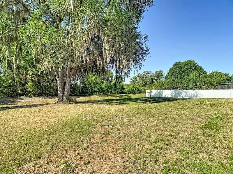 Expansive backyard offering plenty of space for outdoor activities, gardening, or whatever your heart desires!!!! - 12244 LOOPBACK DR, SAN ANTONIO