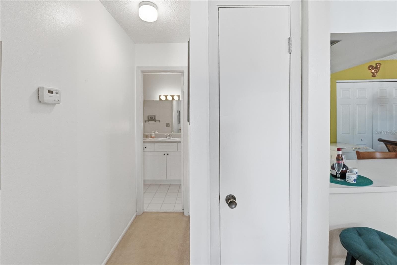 Hallway with Linen Closet - 3853 S LAKE DR #165, TAMPA