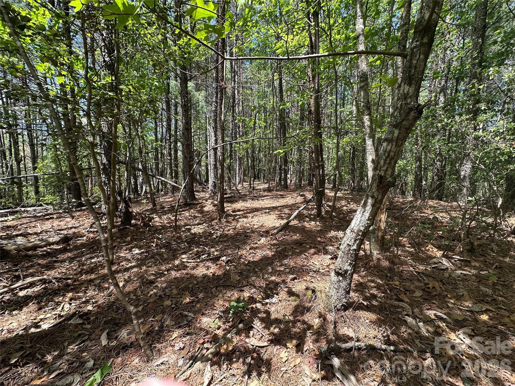 Lot at Nebo, photo 8 of 9