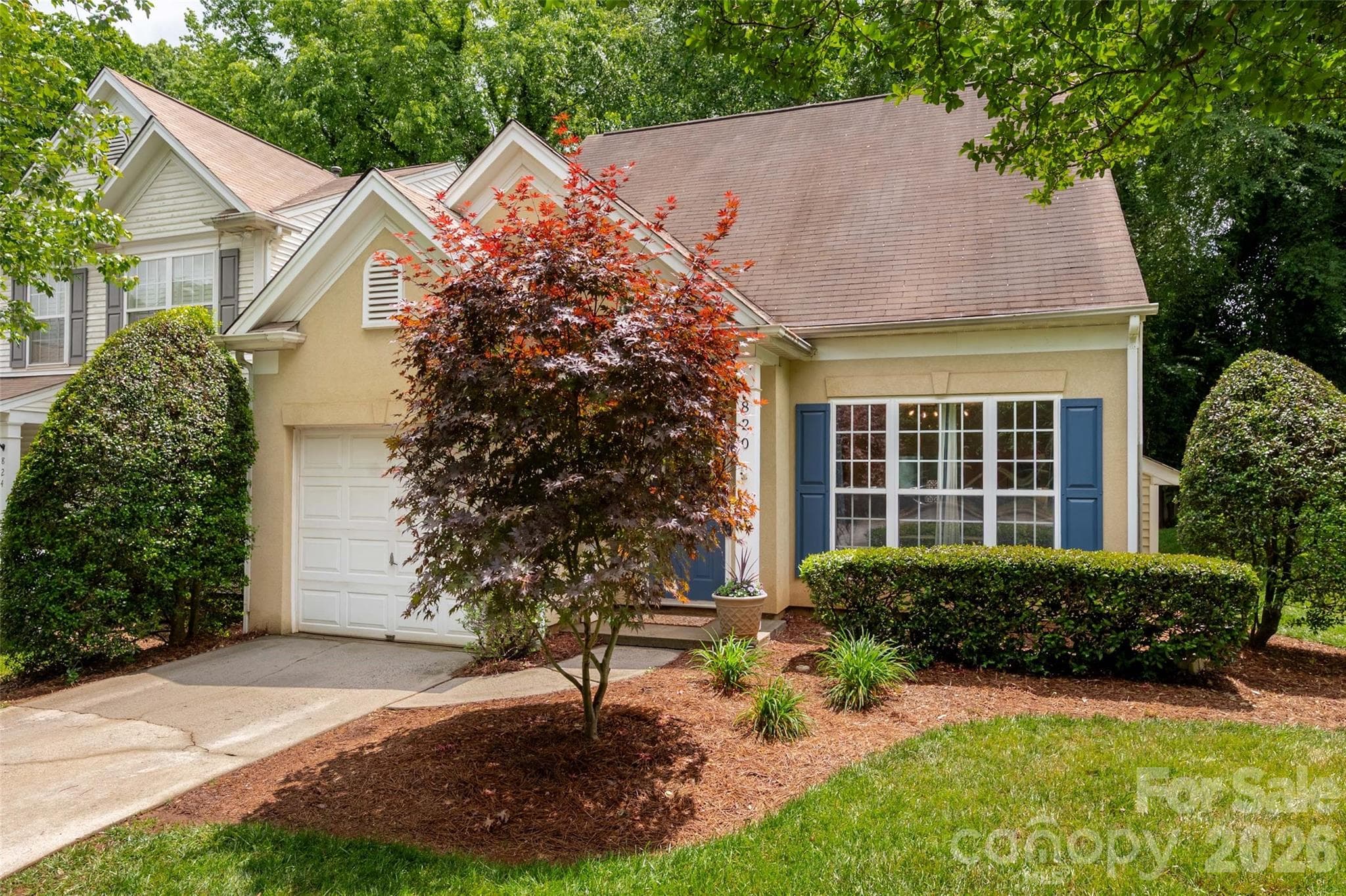 Townhouse at Charlotte, photo 4 of 43