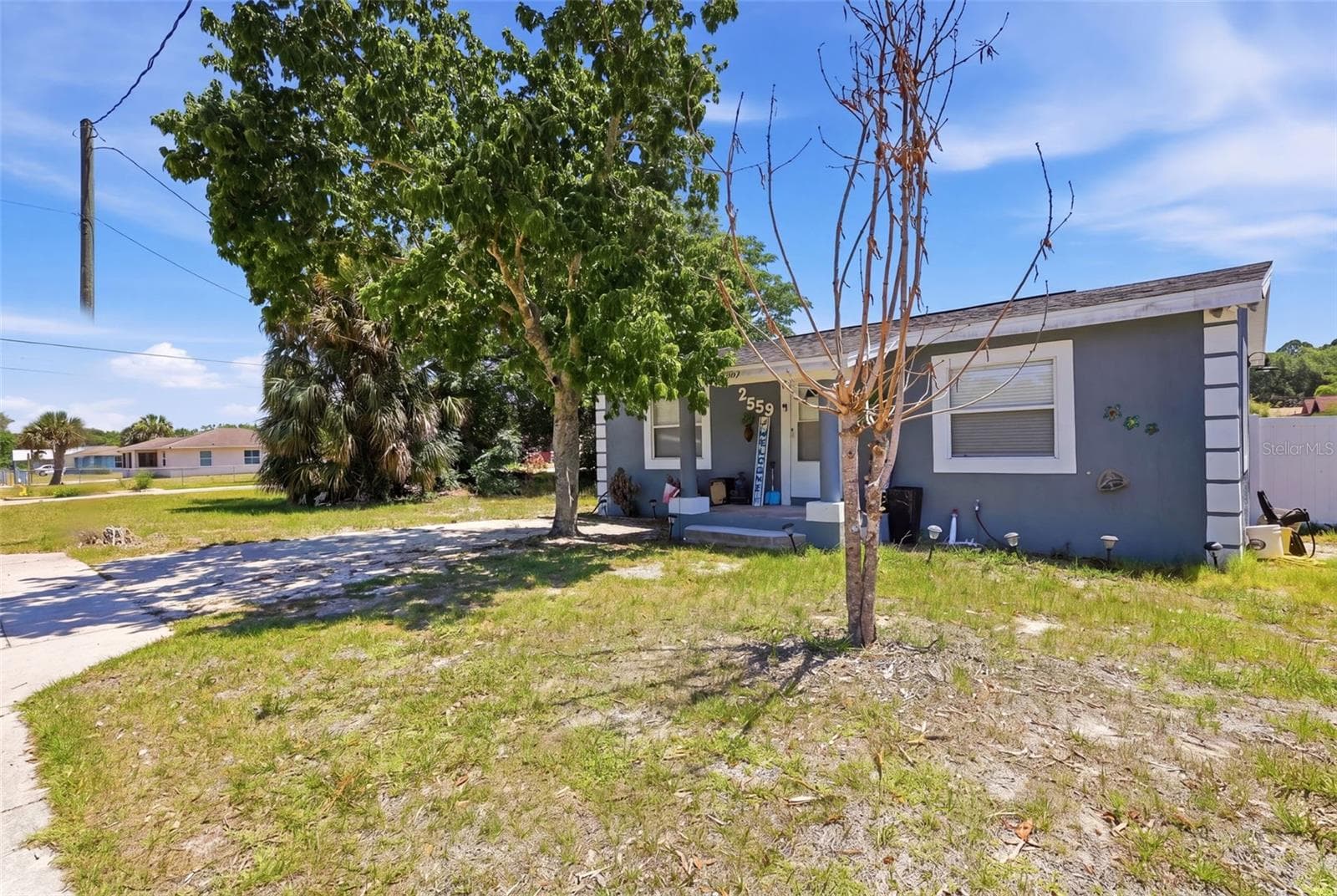 View of landscape, driveway, paved sidewalk. - 2559 HARRY T MOORE AVE, MIMS