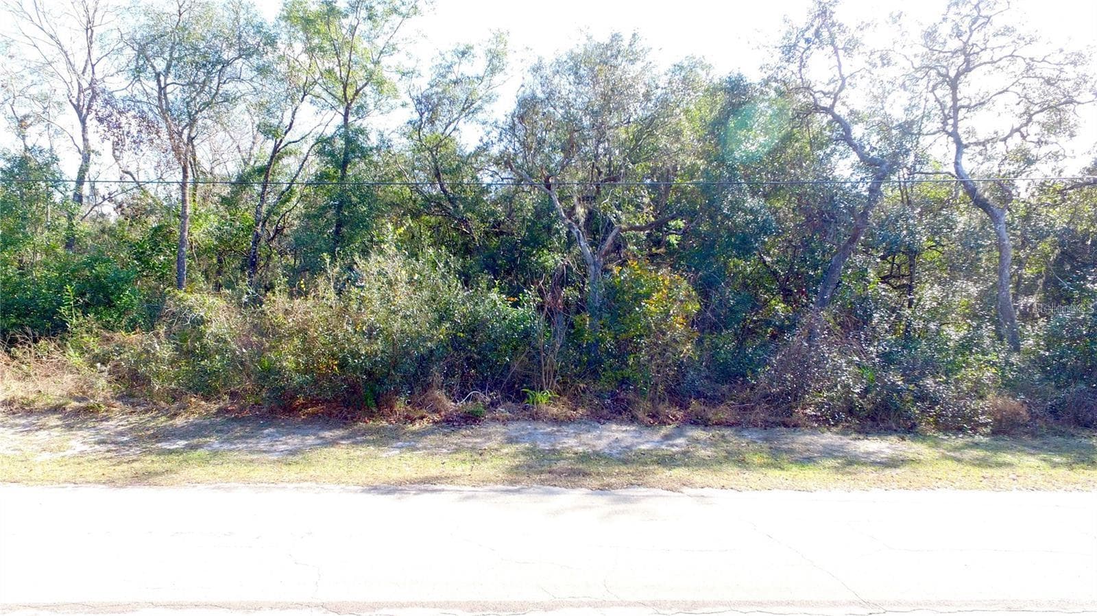 Land at 11142 E SAILFISH WAY, FLORAL CITY, photo 7 of 7