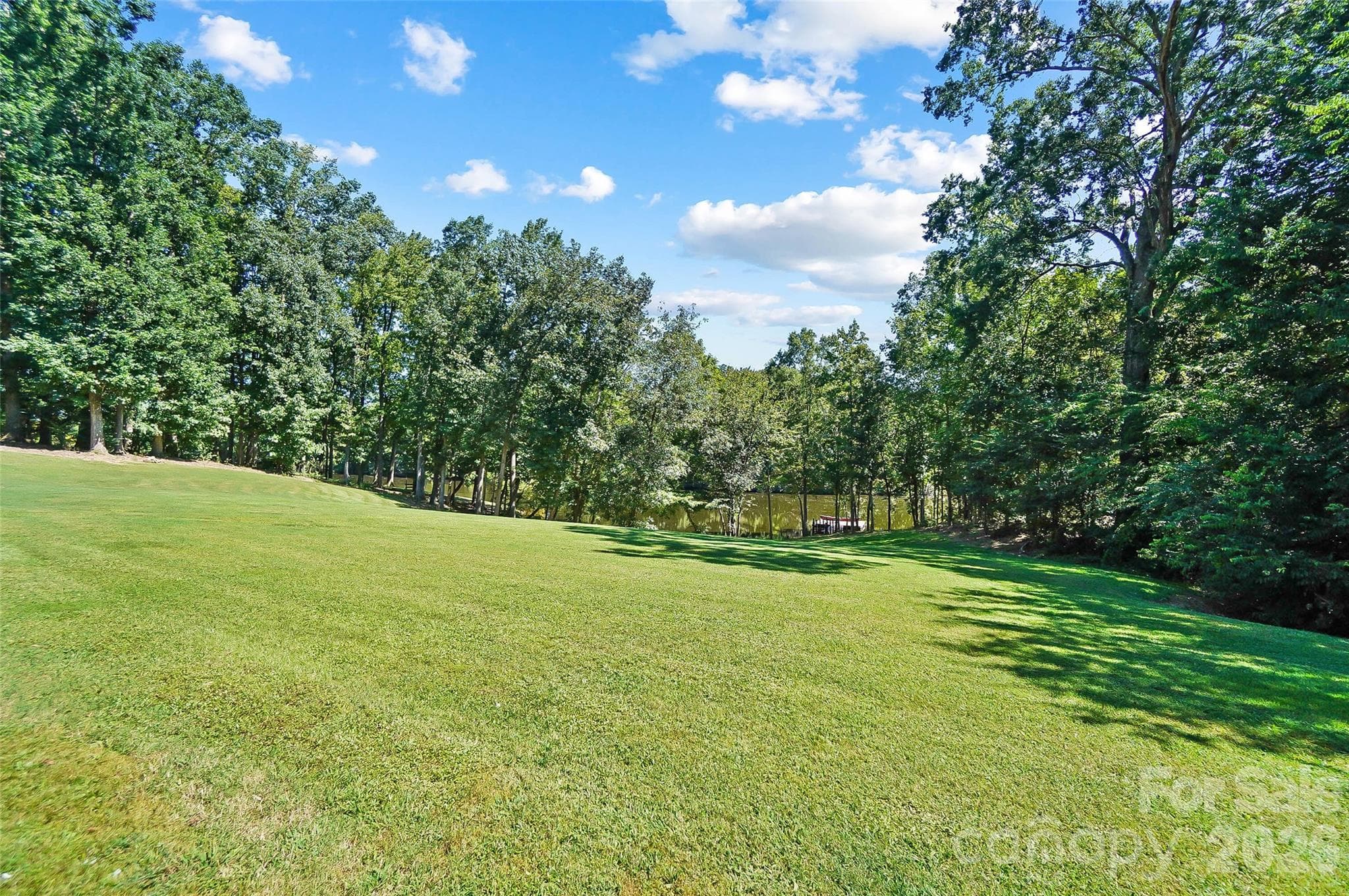 Open lawn bordered by mature trees - 3612 Lake Twitty Drive, Monroe