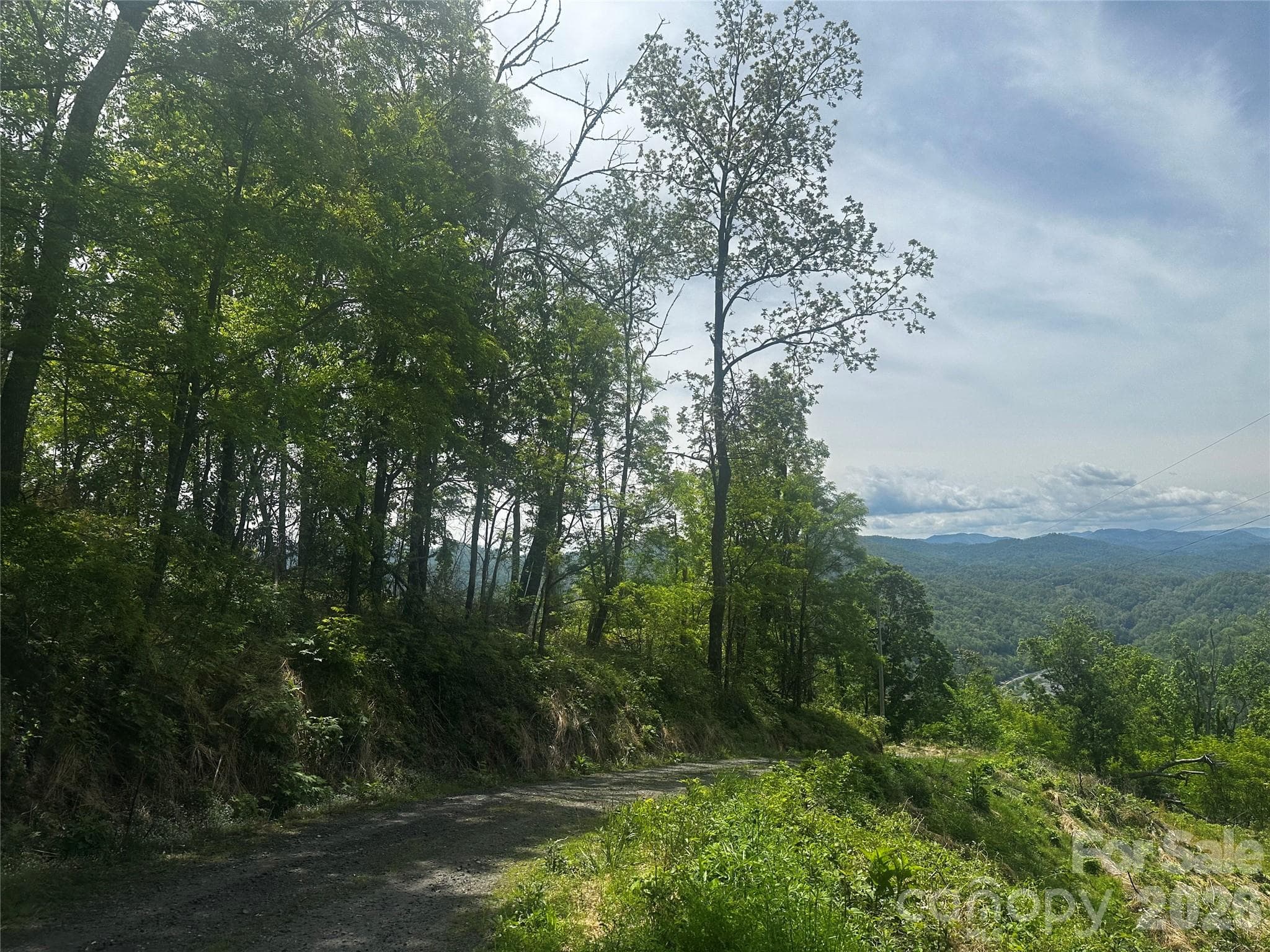Lot at Bakersville, photo 3 of 18