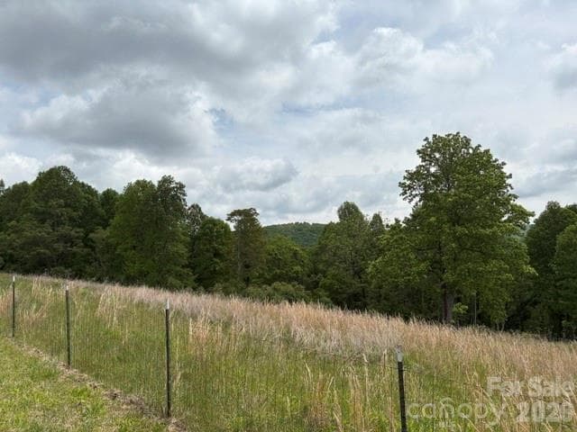 pasture land behind home - Hendersonville