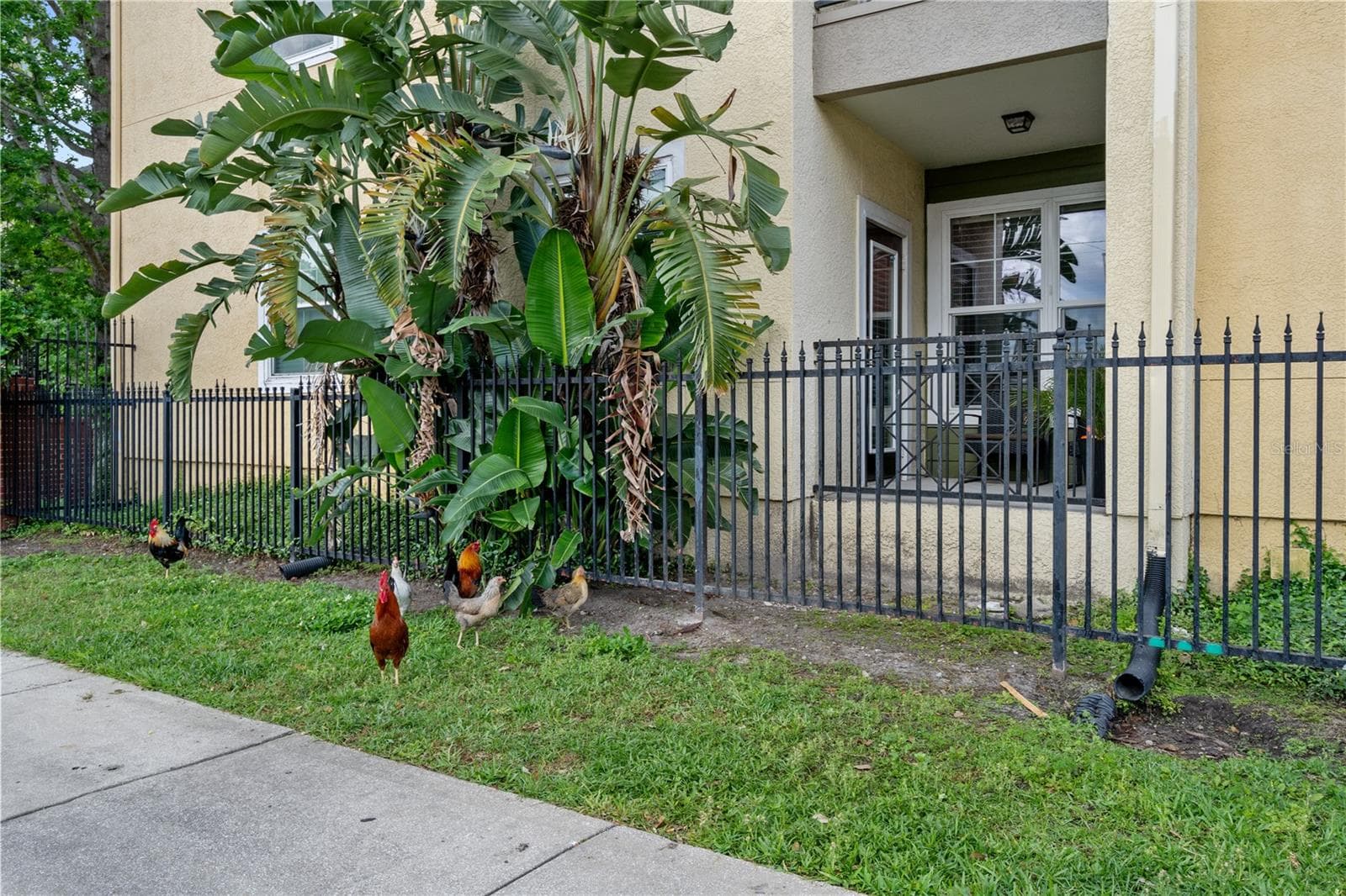 Condominium at 1810 E PALM AVE #5122, TAMPA, photo 28 of 56