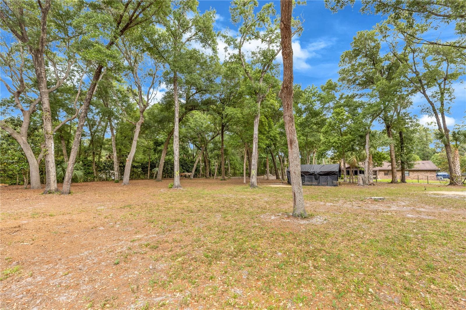Single Family Residence at 721 MCGREGOR RD, DELAND, photo 51 of 59