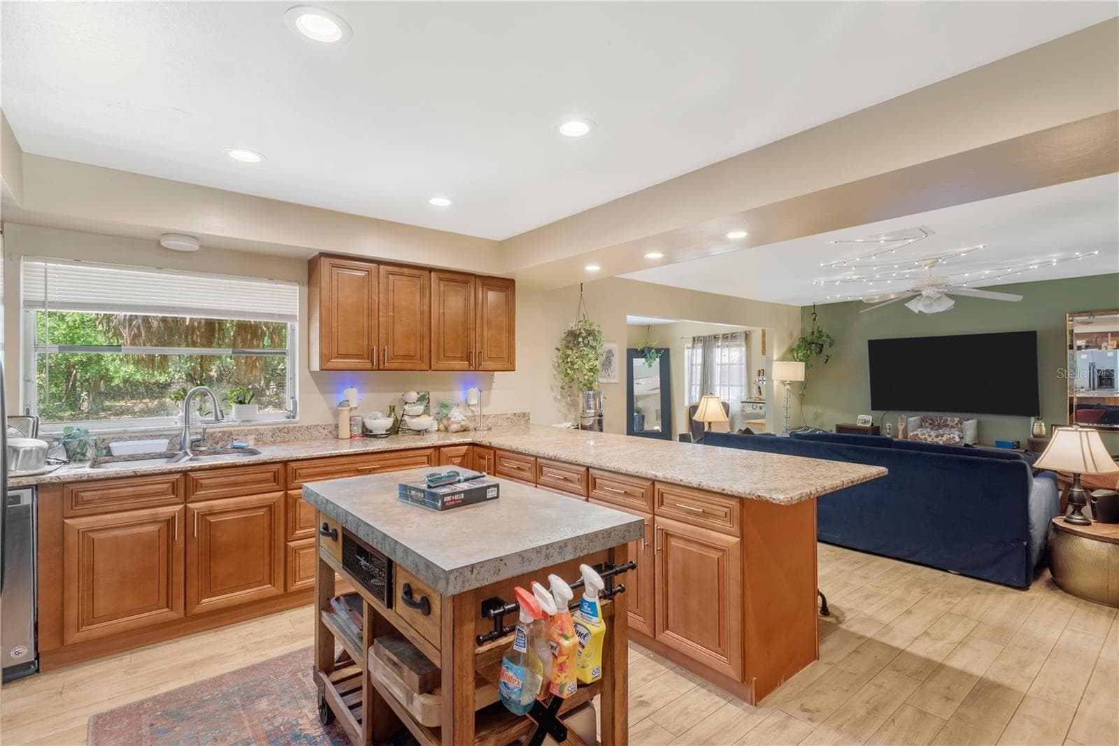 Single Family Residence at 5007 S HESPERIDES ST, TAMPA, photo 12 of 34