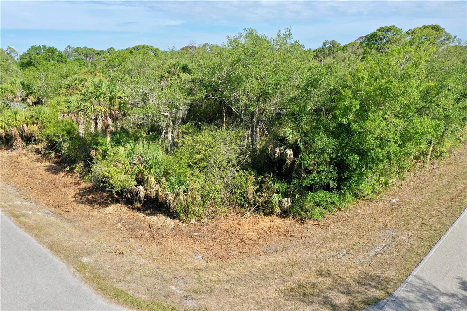 Land at 12023 LEROY AVE, PORT CHARLOTTE, photo 19 of 19