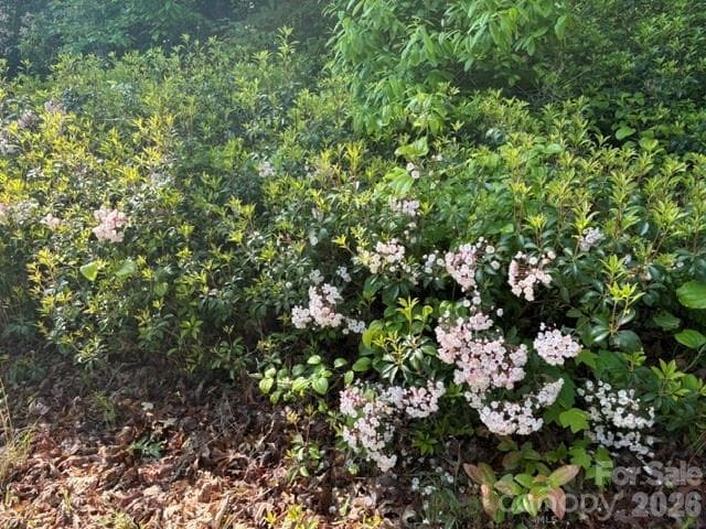 Acreage at 000 Gettys Road, Ellenboro, photo 3 of 10