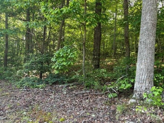 Acreage at 000 Gettys Road, Ellenboro, photo 4 of 10