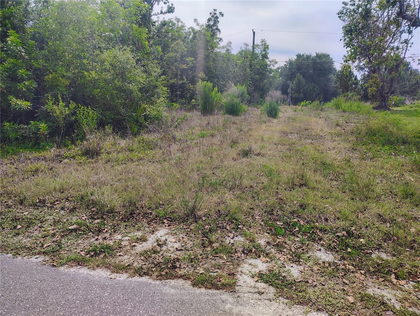 Land at 9283 MANDY ST, PUNTA GORDA, photo 2 of 3