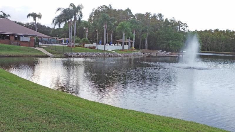 Condominium at 9058 ARUNDLE PL, NEW PORT RICHEY, photo 44 of 59