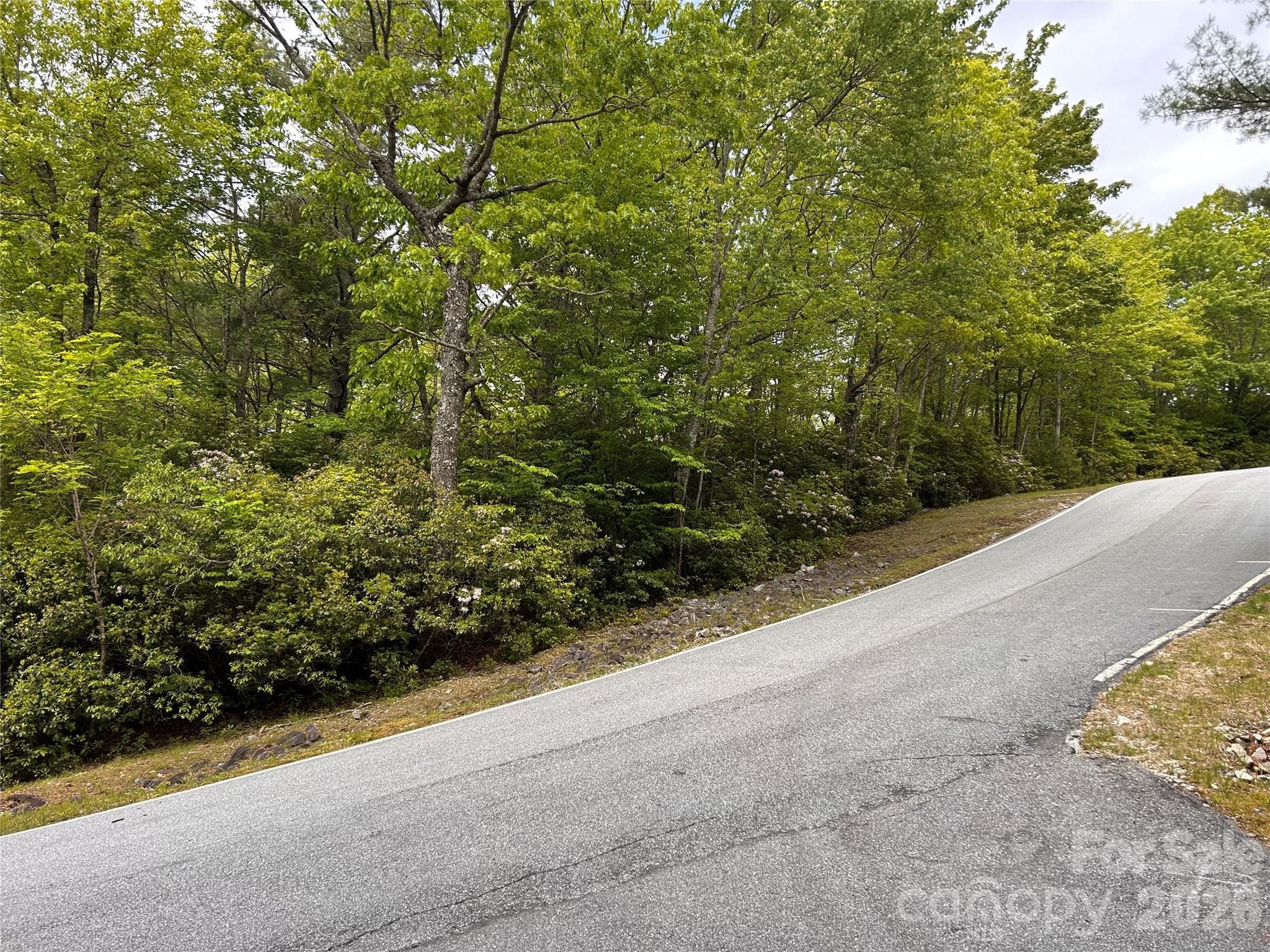 Lot at 1054 Hawk Mountain Road, Lake Toxaway, photo 5 of 20