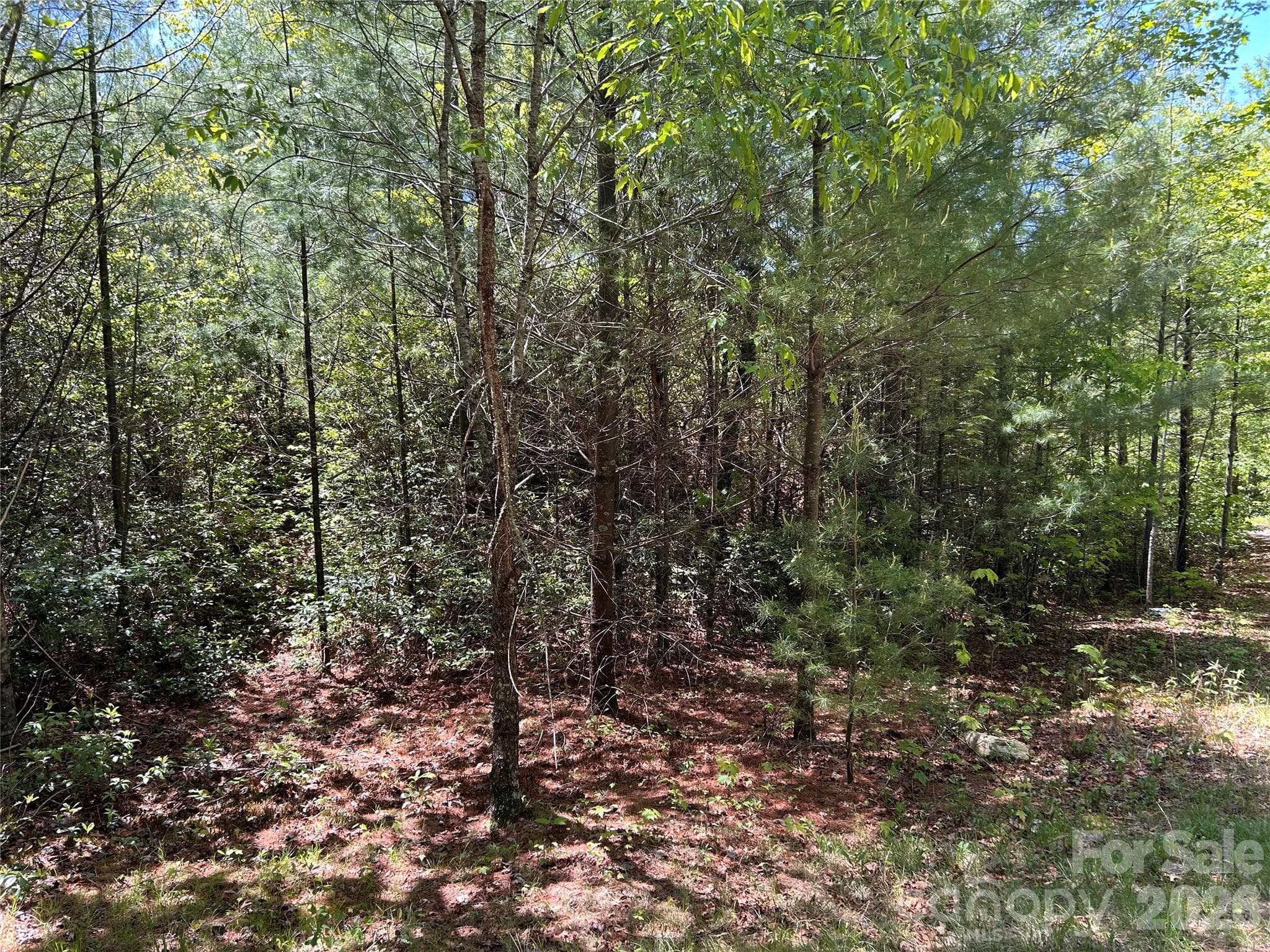 Lot at 1054 Hawk Mountain Road, Lake Toxaway, photo 11 of 20