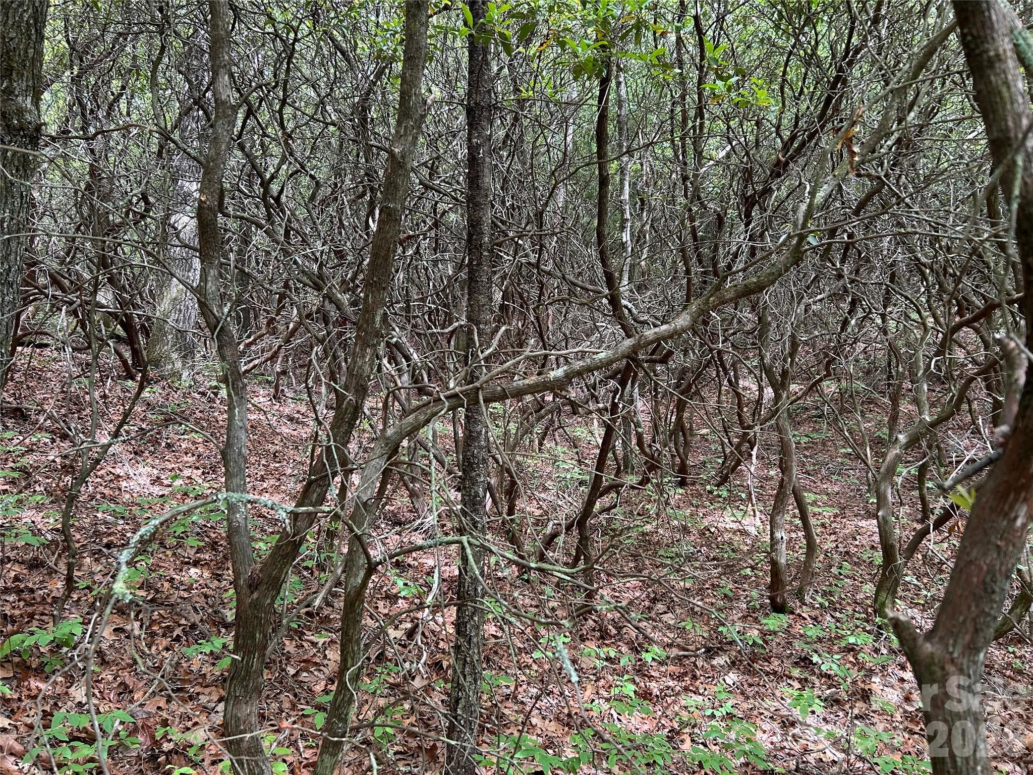 Lot at 1054 Hawk Mountain Road, Lake Toxaway, photo 16 of 20