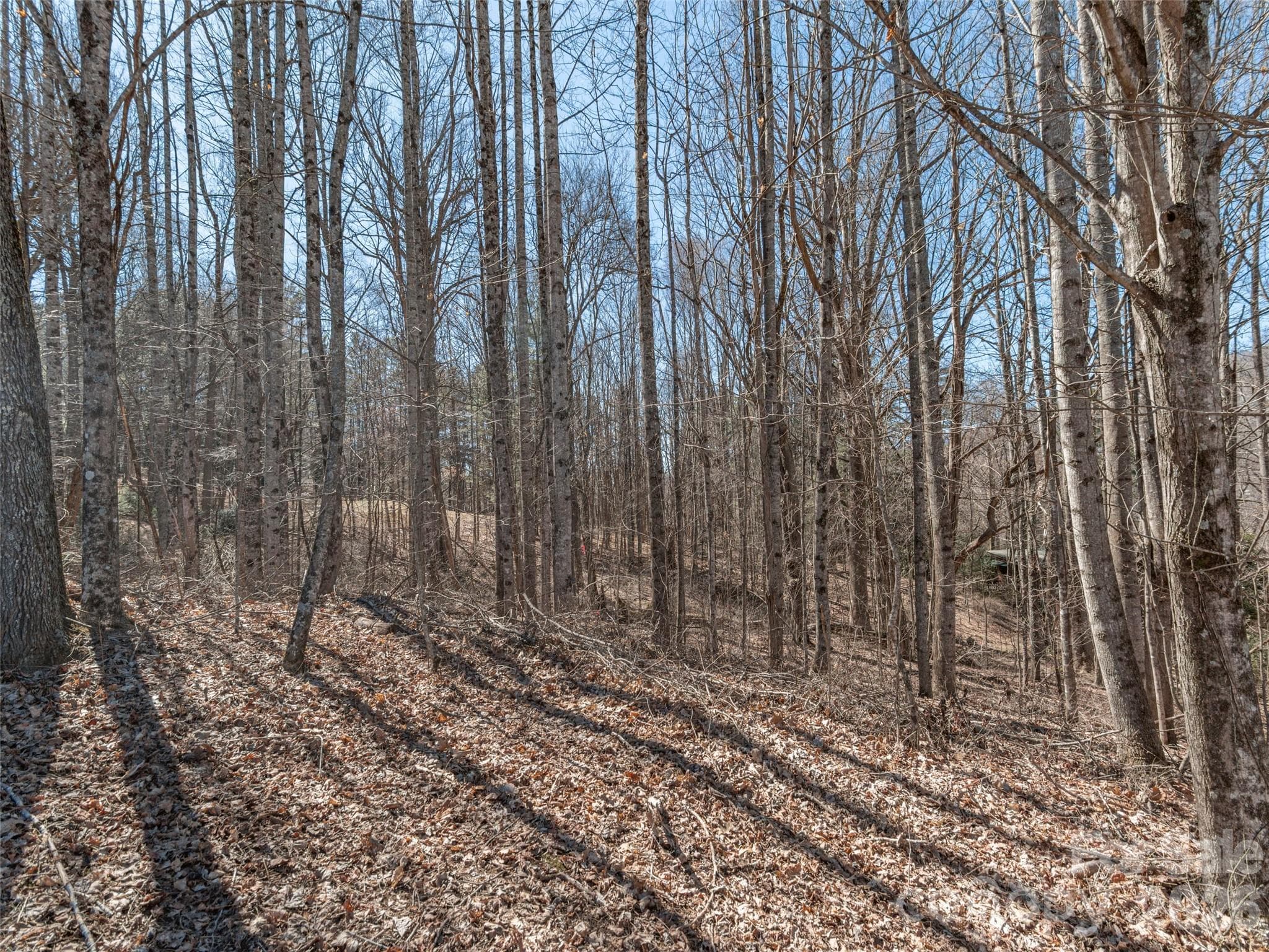 Lot at Waynesville, photo 4 of 7