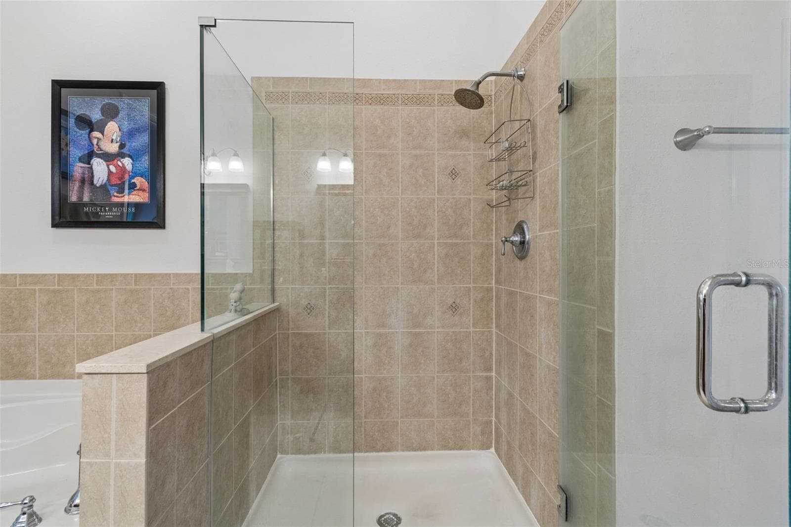 Condominium at 7903 SEMINOLE BLVD #2401, SEMINOLE, photo 30 of 85