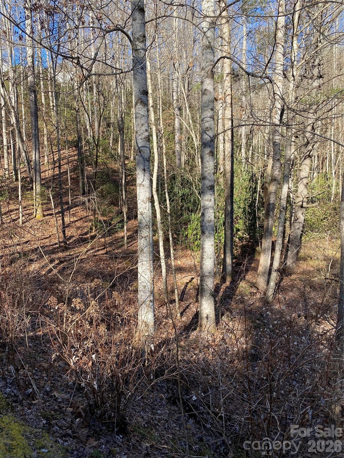Acreage at Brevard, photo 9 of 16