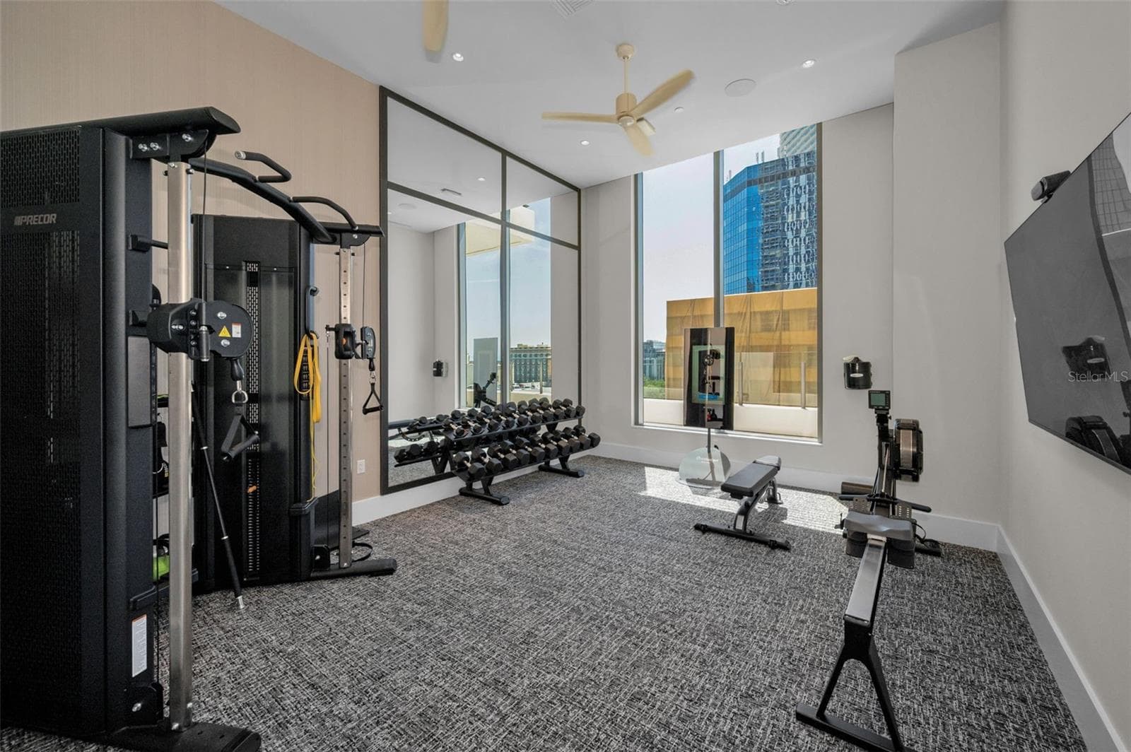 Private Fitness Room - 275 1ST AVE S #3503, ST PETERSBURG