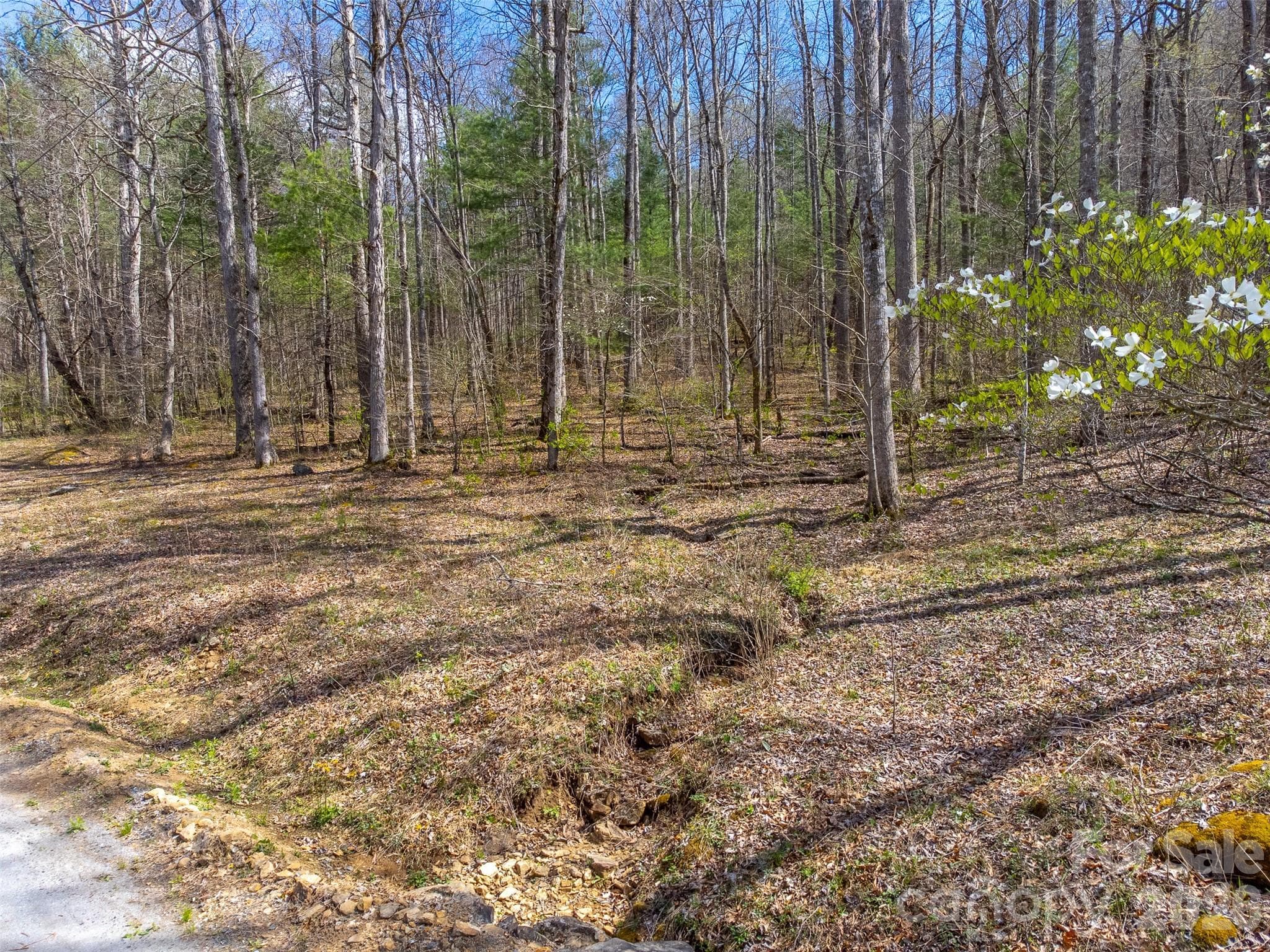 Lot at 306 Cedar Creek Farm Road, Tuckasegee, photo 2 of 29