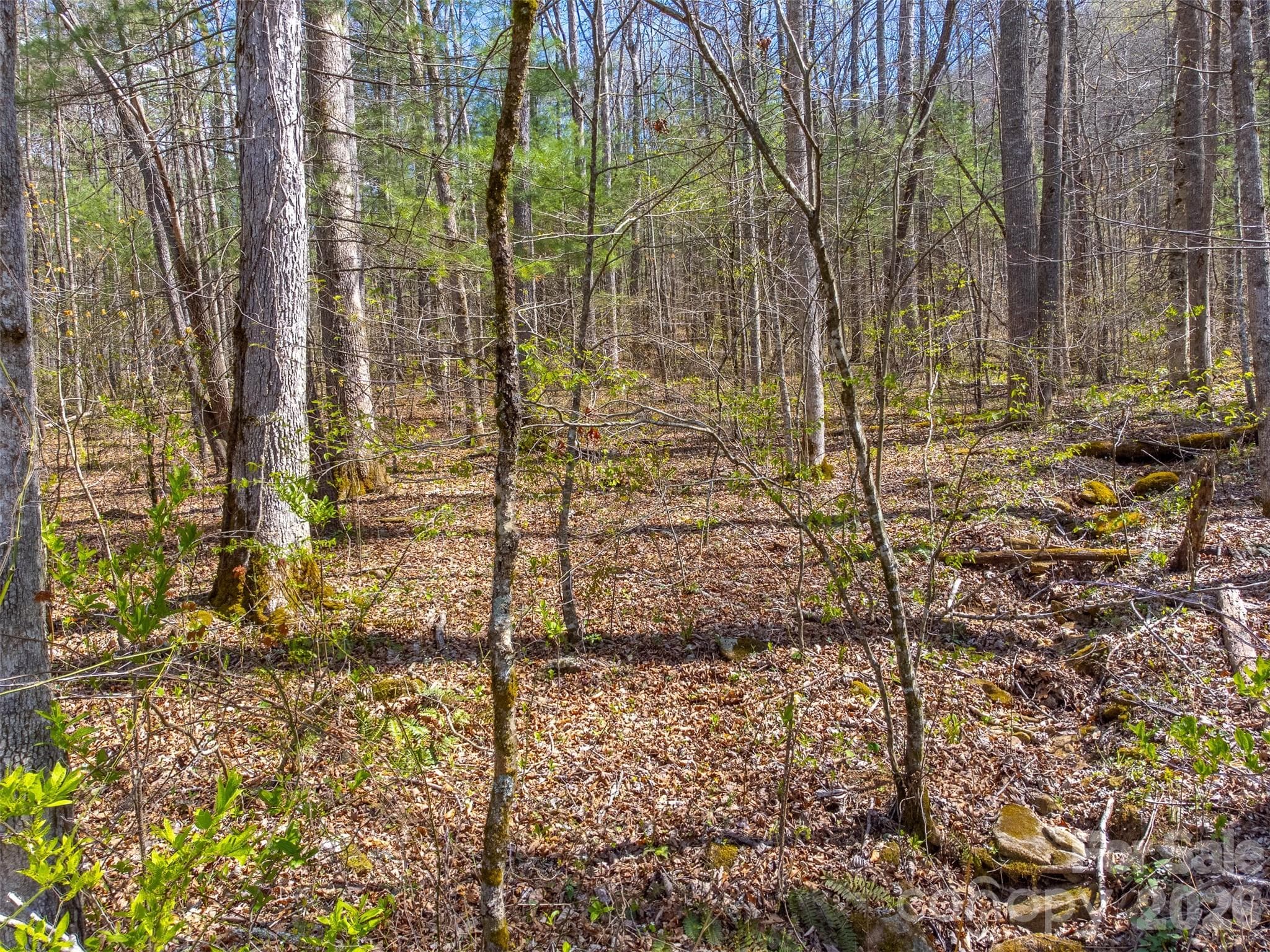 Lot at 306 Cedar Creek Farm Road, Tuckasegee, photo 12 of 29