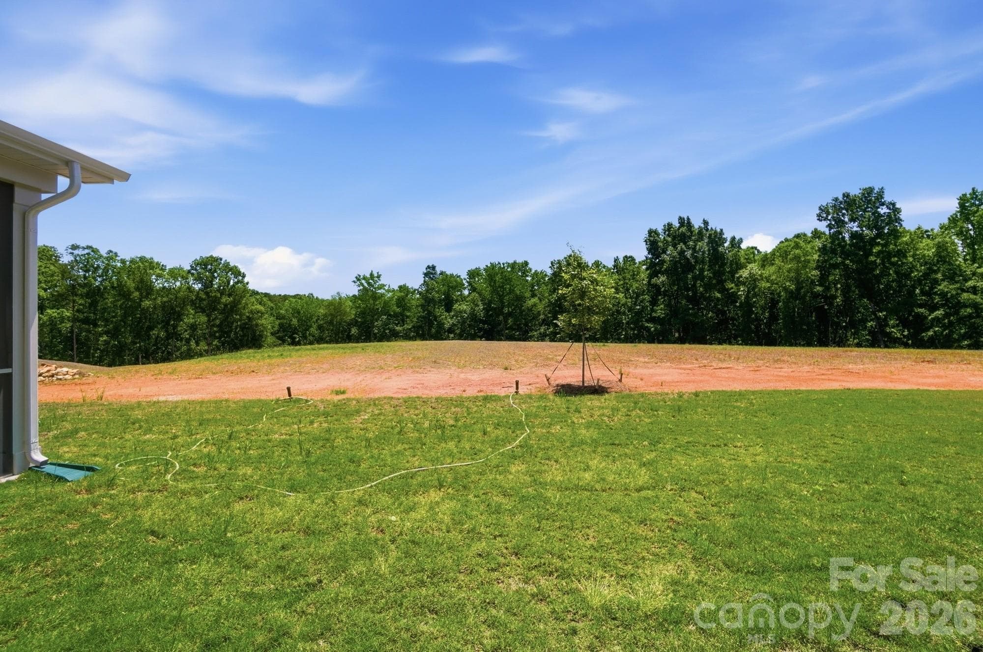 Property line covers both sodded and non-sodded areas - Monroe