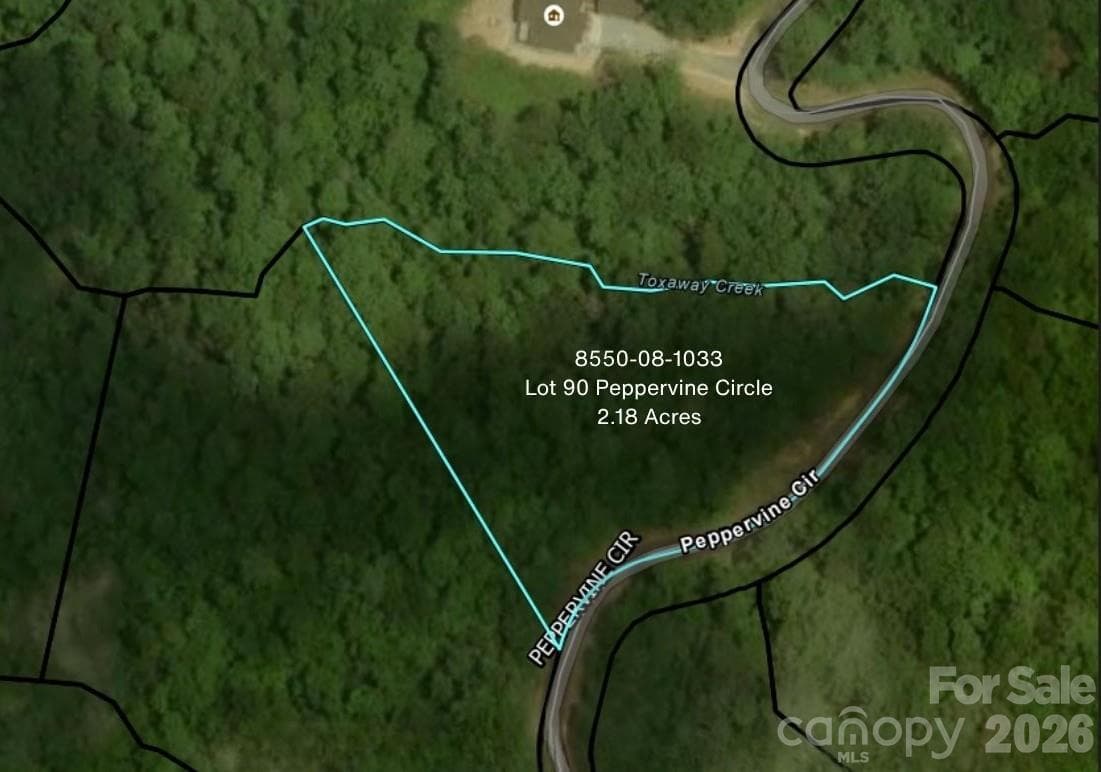 Lot at Lot 90 Peppervine Circle, Rosman, photo 2 of 48