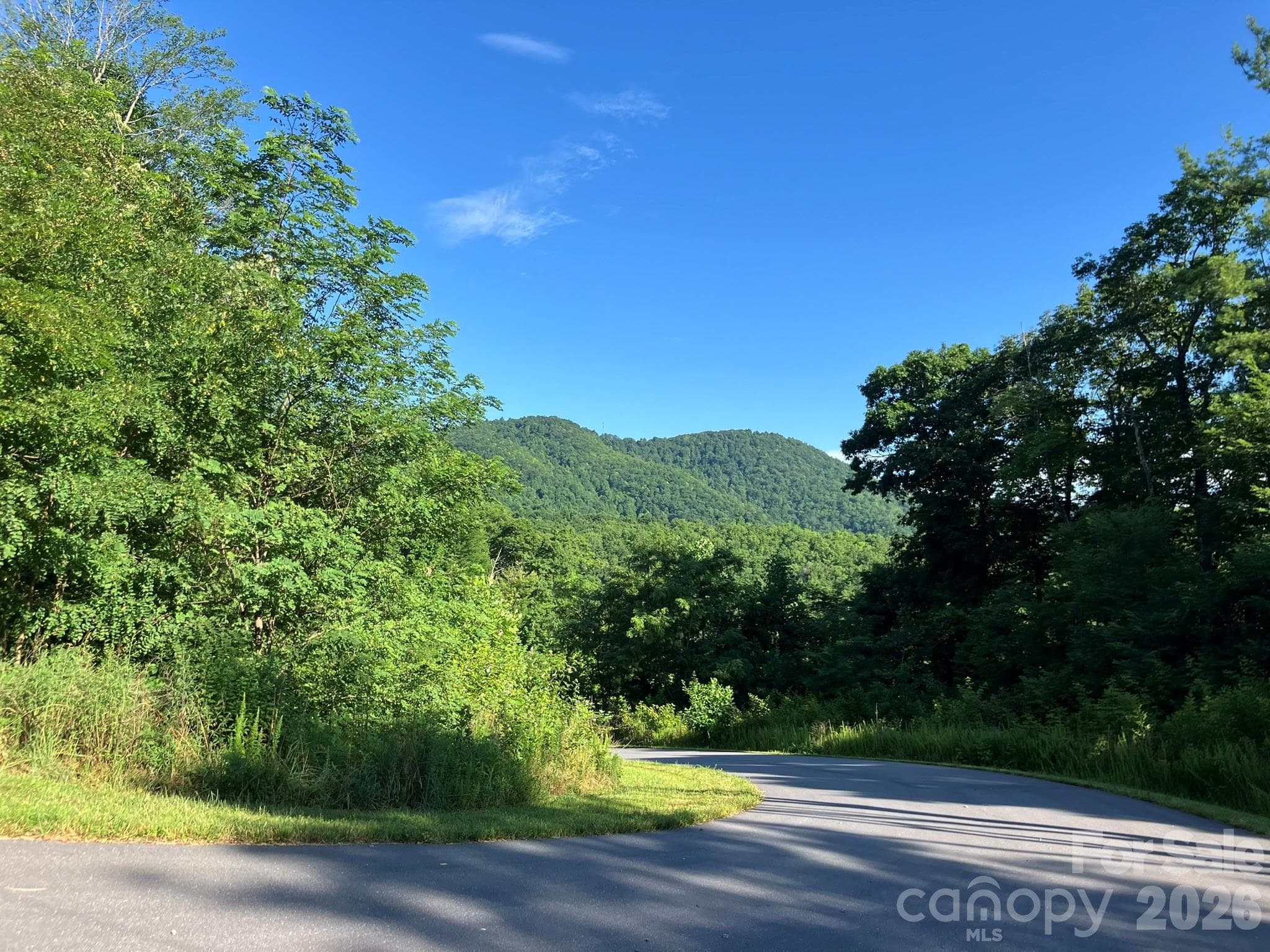 views in community - Lake Lure