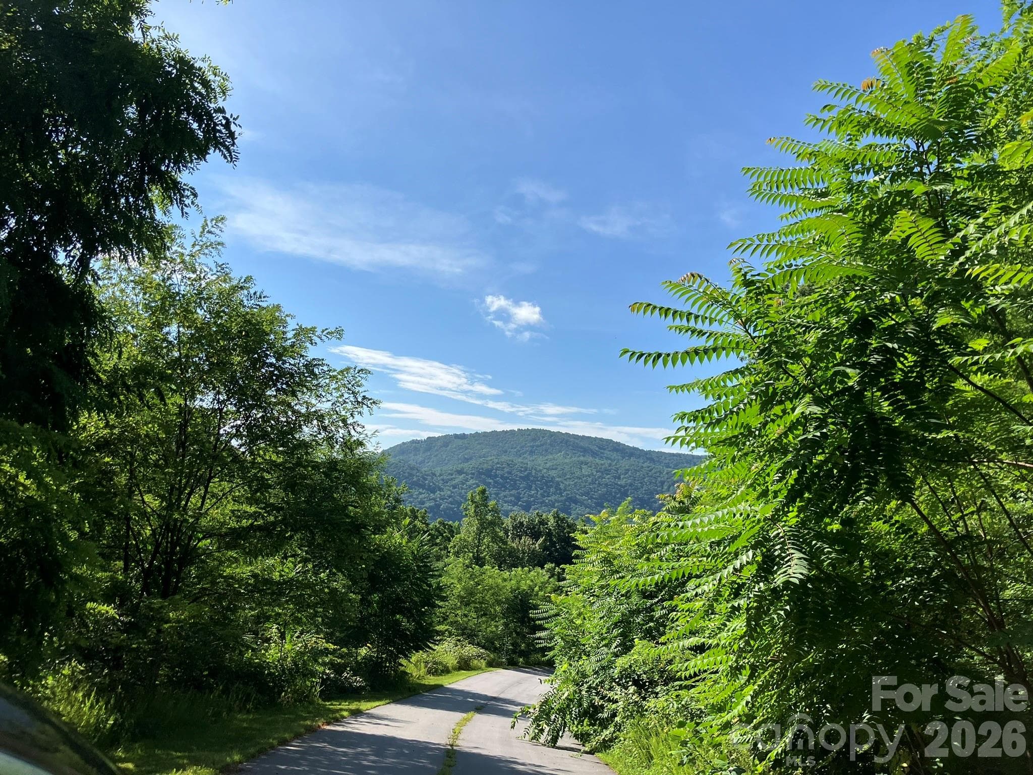 views in community - Lake Lure