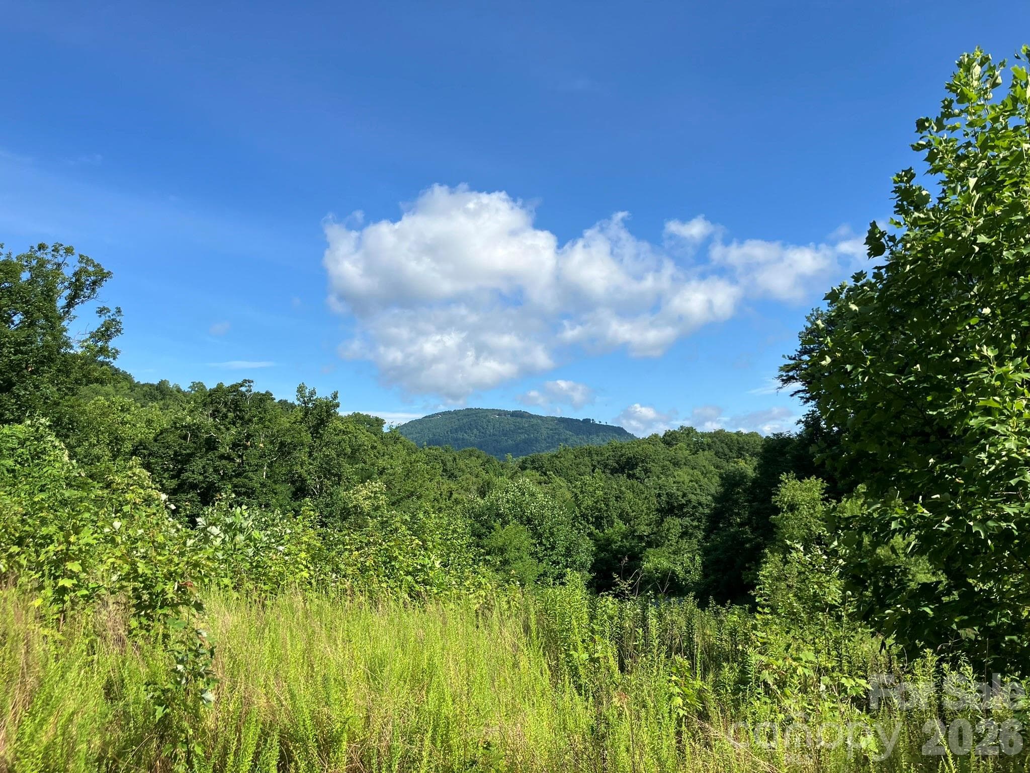 views in community - Lake Lure