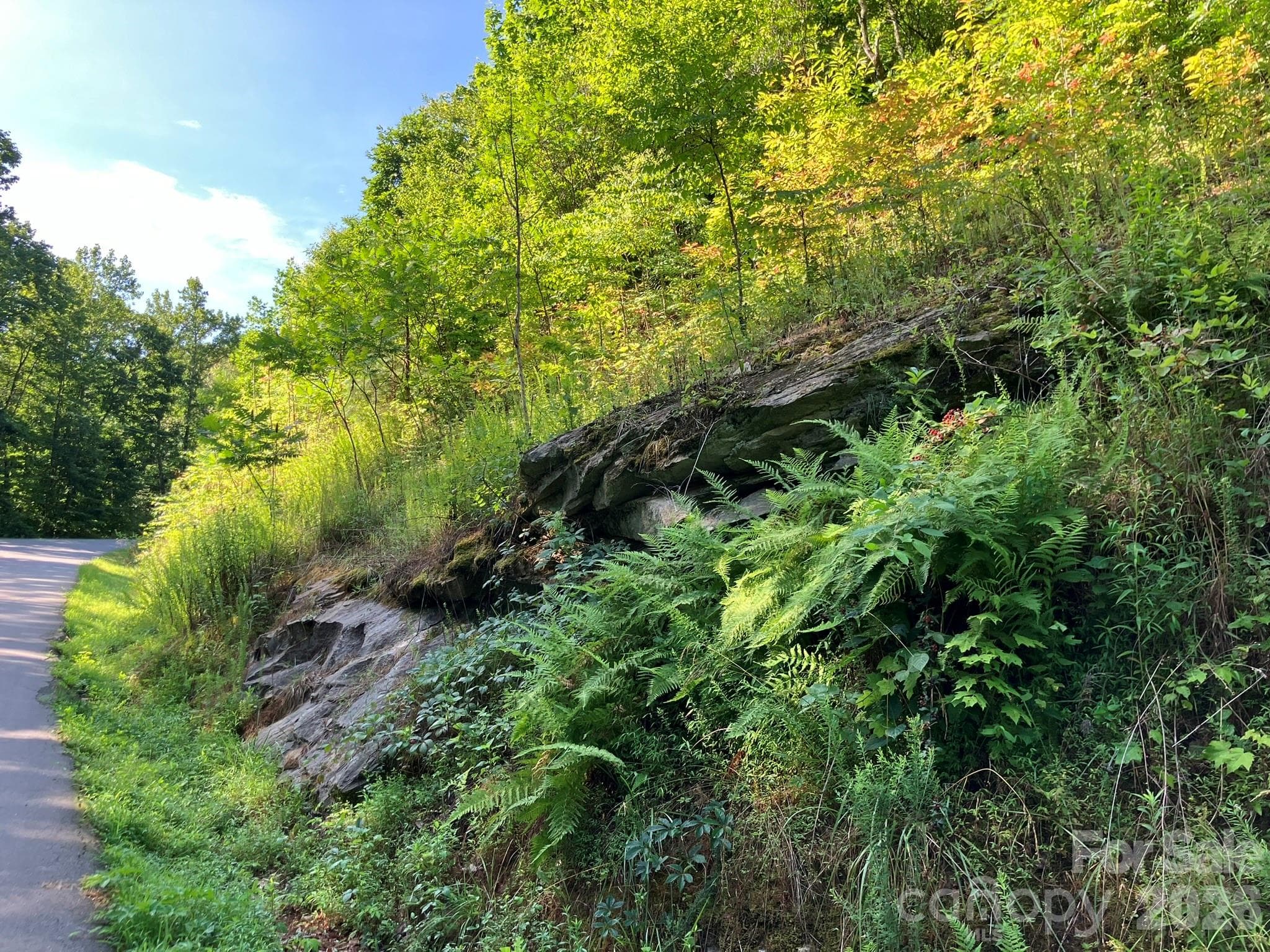 views in community - Lake Lure
