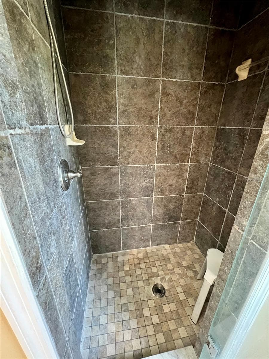 Primary Shower - 3858 SHORE BLVD, OLDSMAR