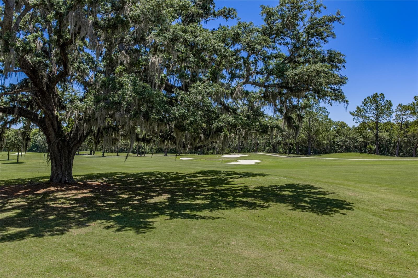 Single Family Residence at 34530 HEAVENLY LN, DADE CITY, photo 78 of 95