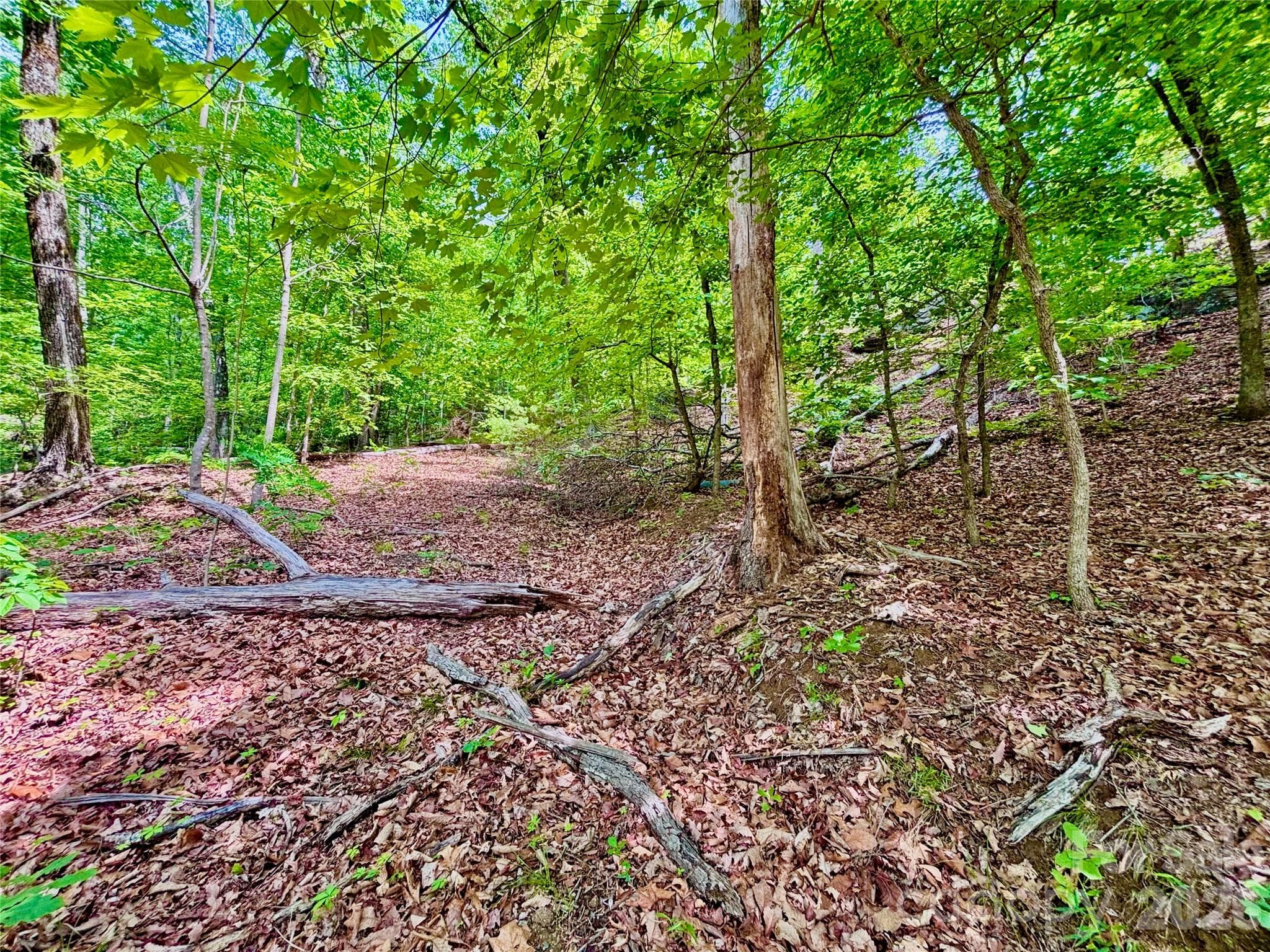Lot at Rutherfordton, photo 2 of 12