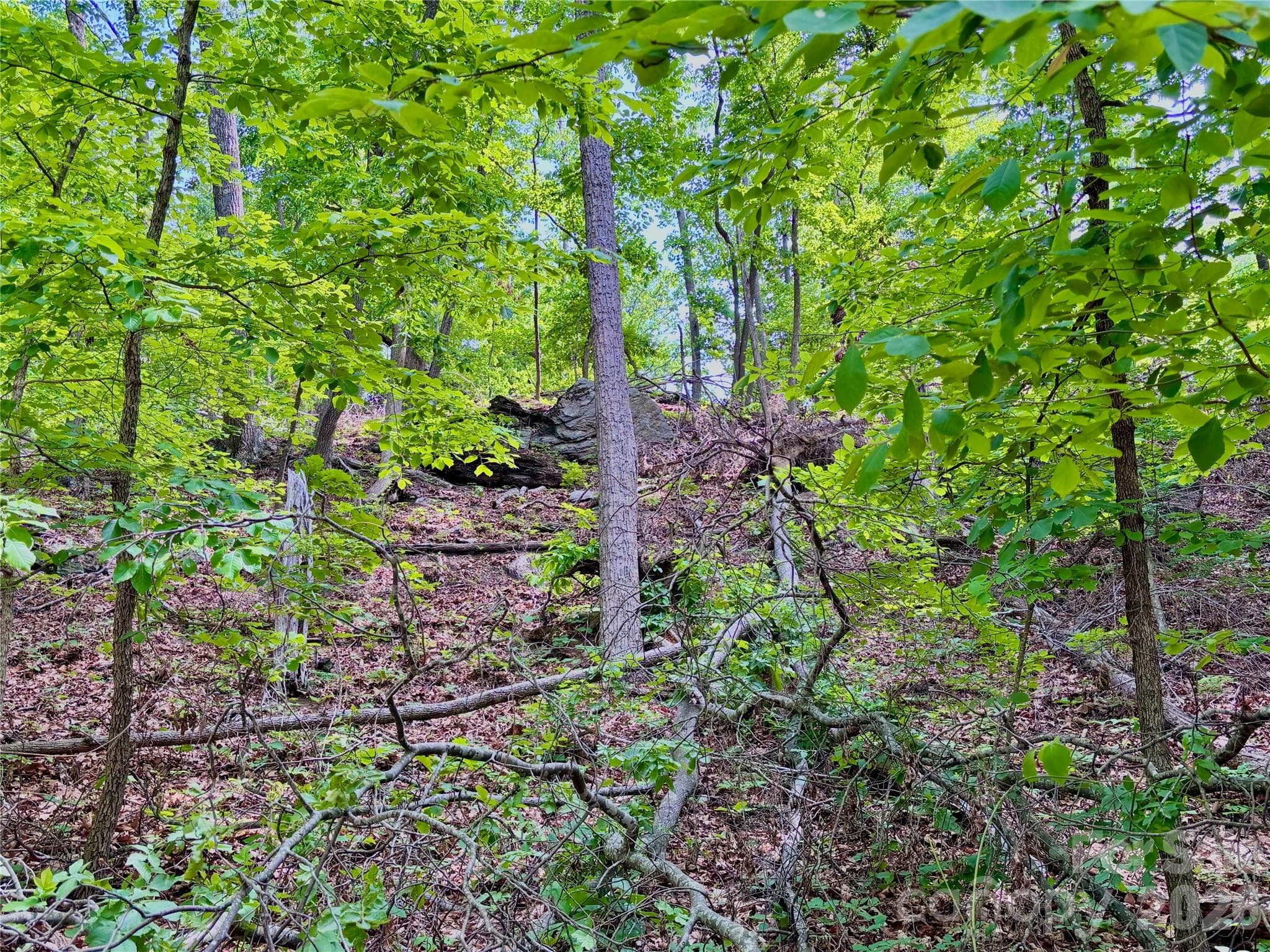 Lot at 350 Springvalley Drive, Rutherfordton, photo 3 of 12
