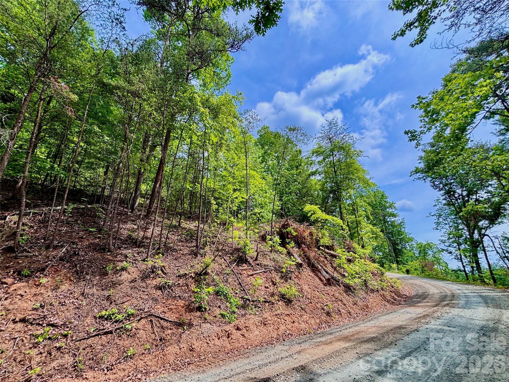 Lot at 350 Springvalley Drive, Rutherfordton, photo 9 of 12