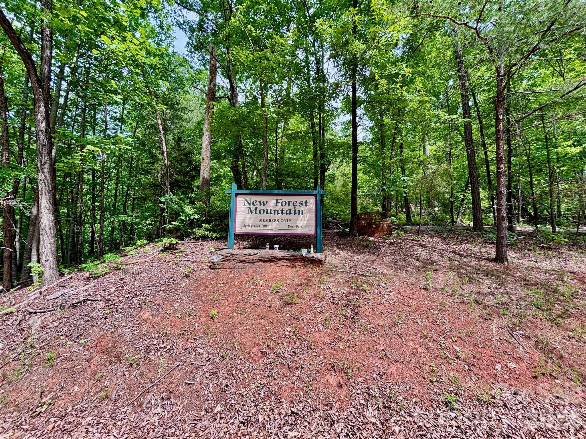 Entrance to New Forest Moutain Subdivision - 350 Springvalley Drive, Rutherfordton