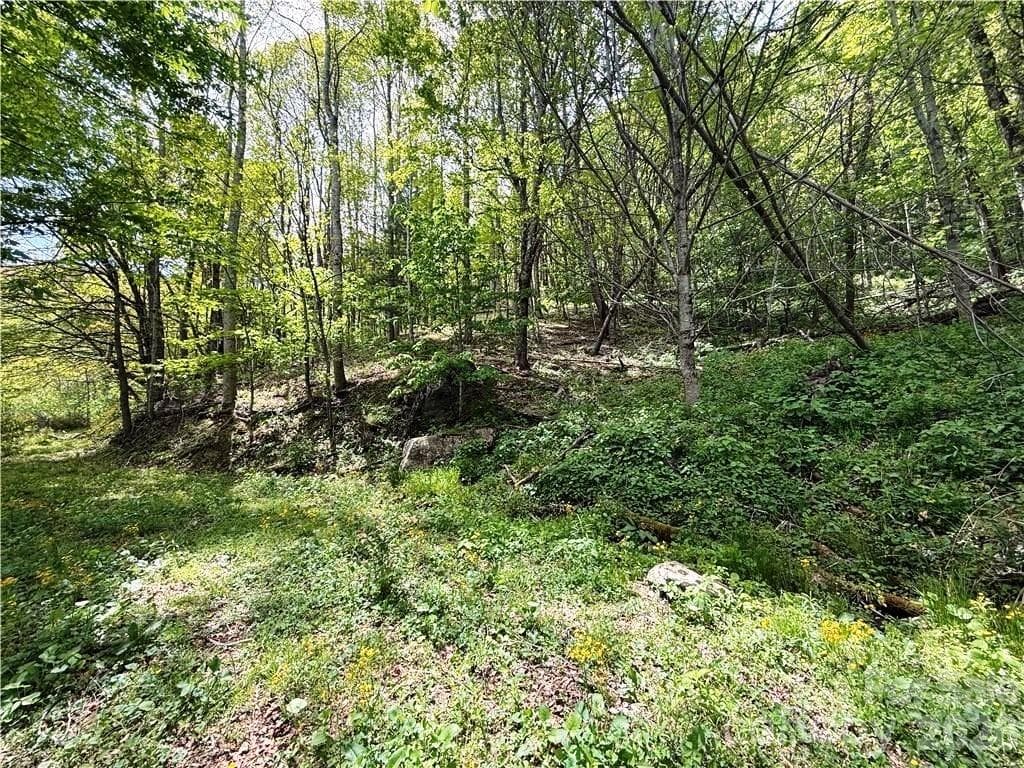 Acreage at tbd Spice Creek Road, Banner Elk, photo 6 of 18