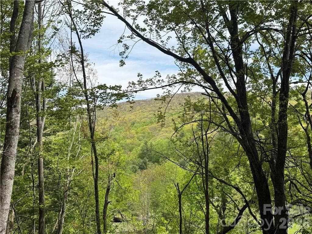 Acreage at tbd Spice Creek Road, Banner Elk, photo 9 of 18