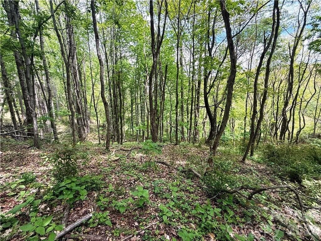 Acreage at tbd Spice Creek Road, Banner Elk, photo 16 of 18