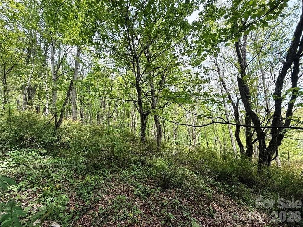 Acreage at tbd Spice Creek Road, Banner Elk, photo 18 of 18