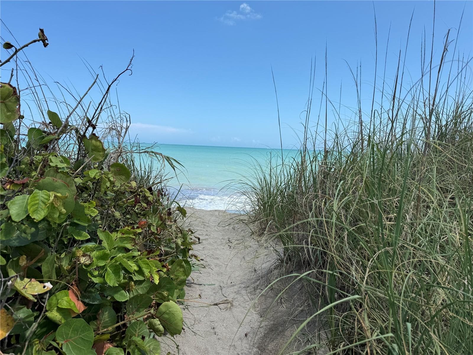 a typical beach entrance on Hutchinson Island's 23 miles of beaches - 1300 SEAWAY DR #C1, HUTCHINSON ISLAND