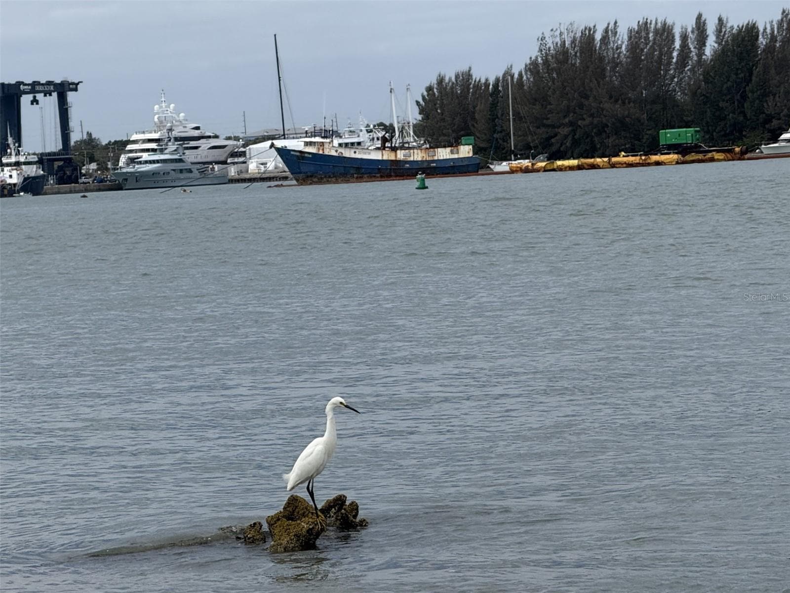View from a spoil island nearby- facing Derecktor shipyard - 1300 SEAWAY DR #C1, HUTCHINSON ISLAND