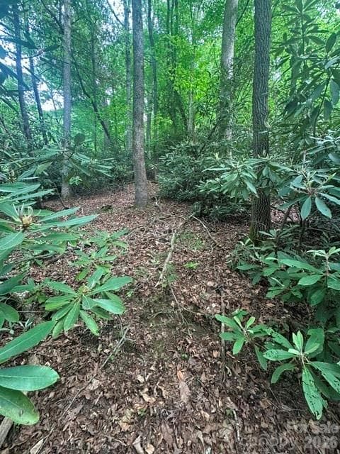 Lot at TBD Glen Cannon Drive, Pisgah Forest, photo 2 of 4