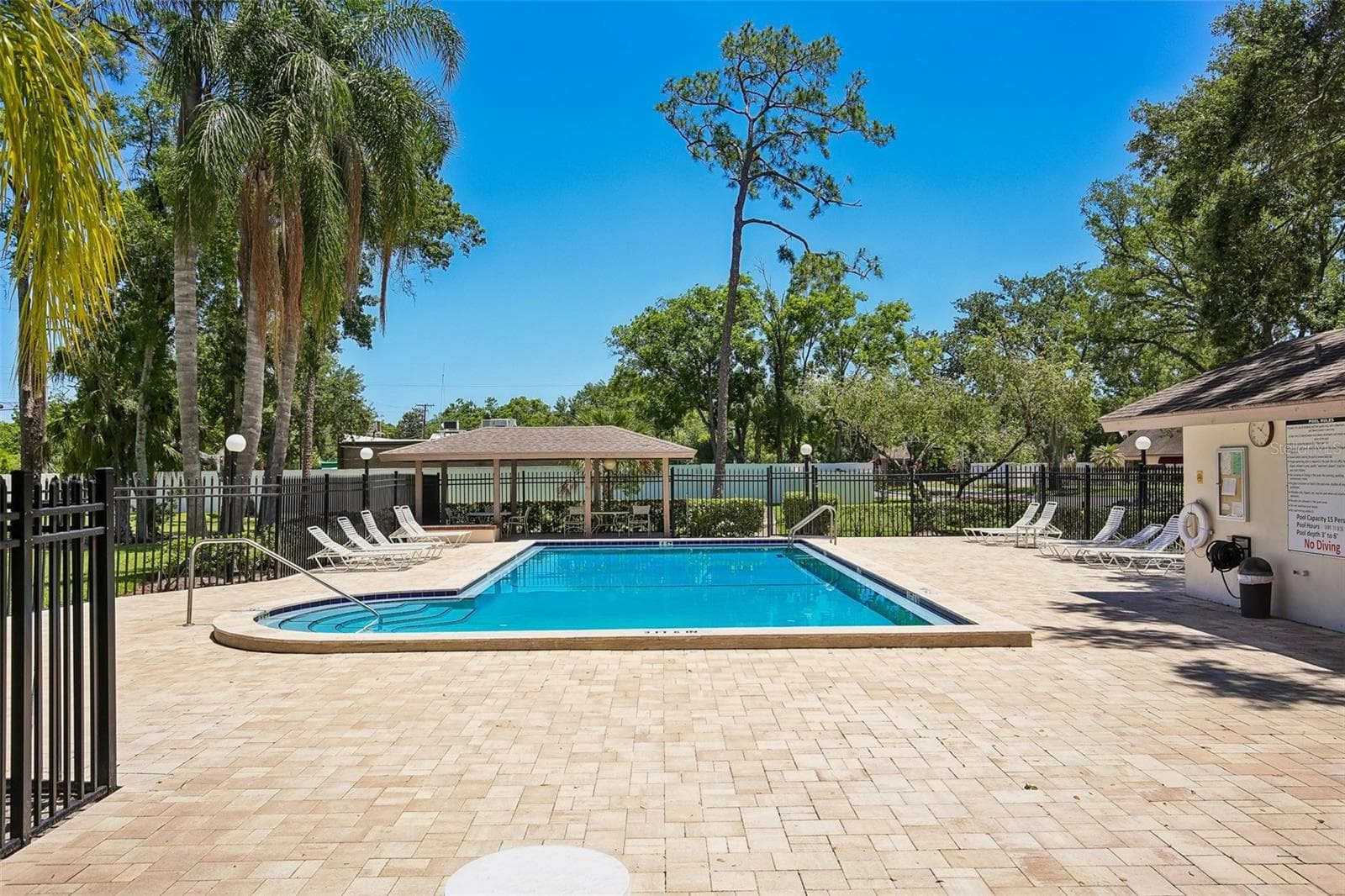 COMMUNITY POOL - 1006 CICERO LN, BRANDON