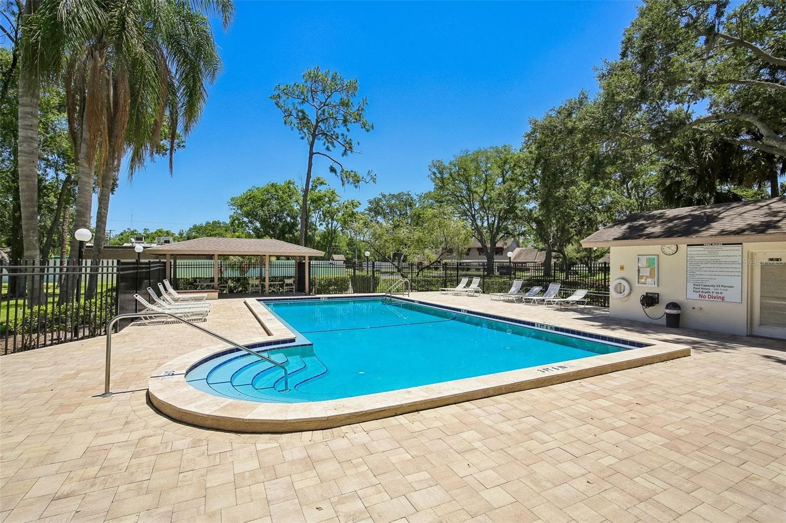 COMMUNITY POOL - 1006 CICERO LN, BRANDON