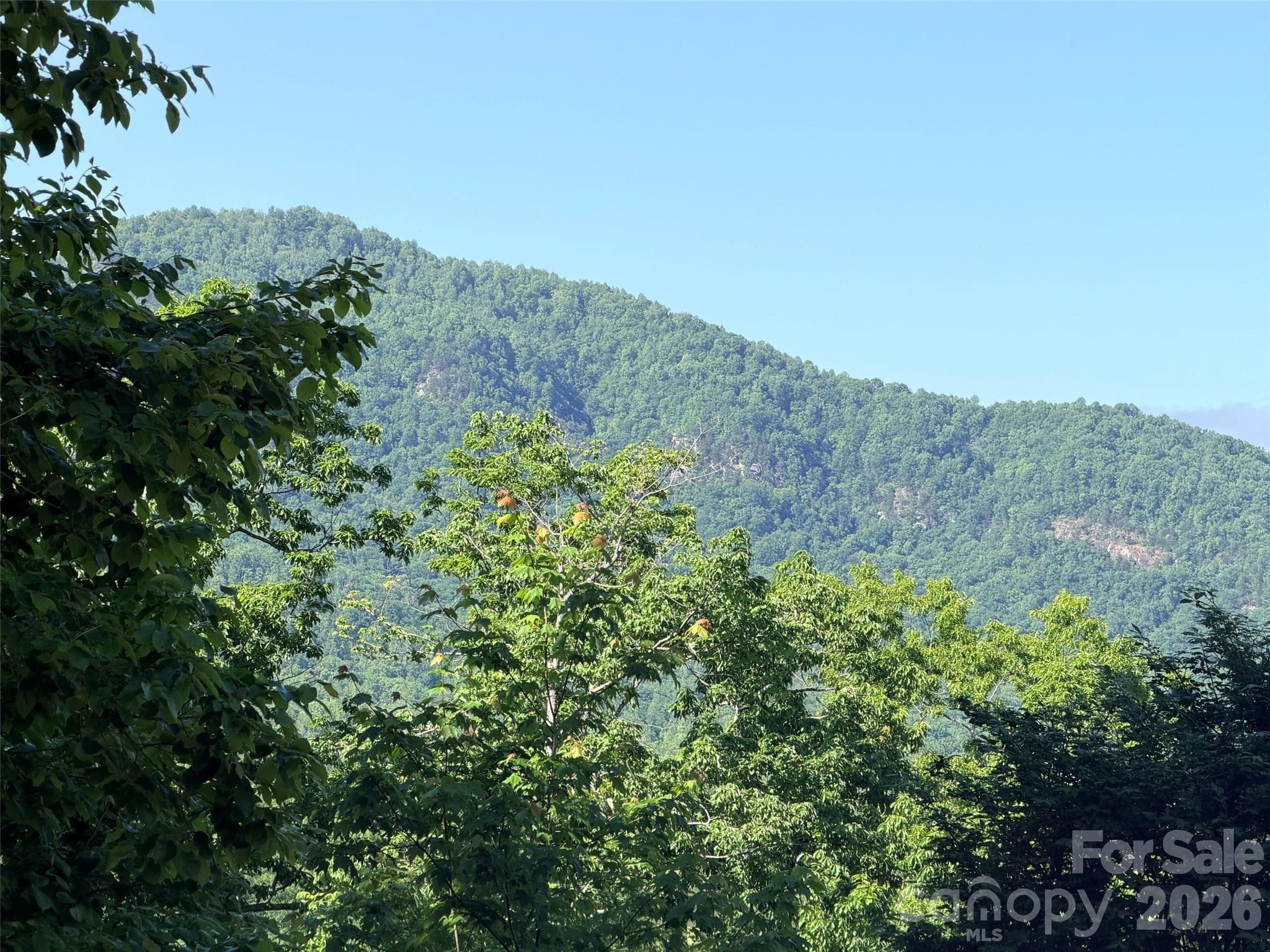 Lot at Lake Lure, photo 2 of 28