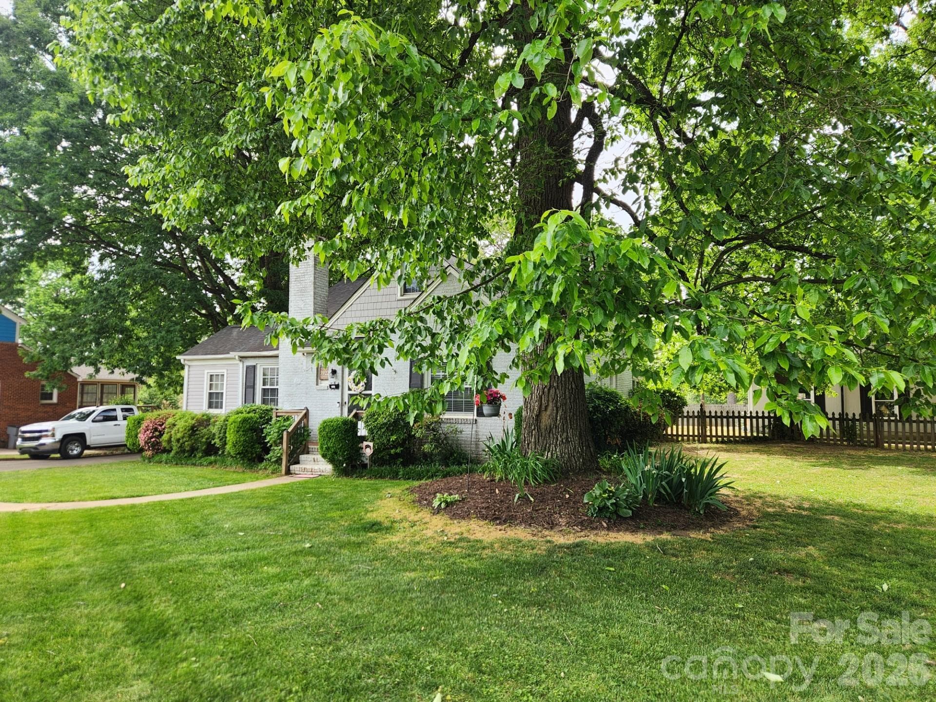 Gorgeous Mature Trees - 3922 Mcmillan Street, Charlotte