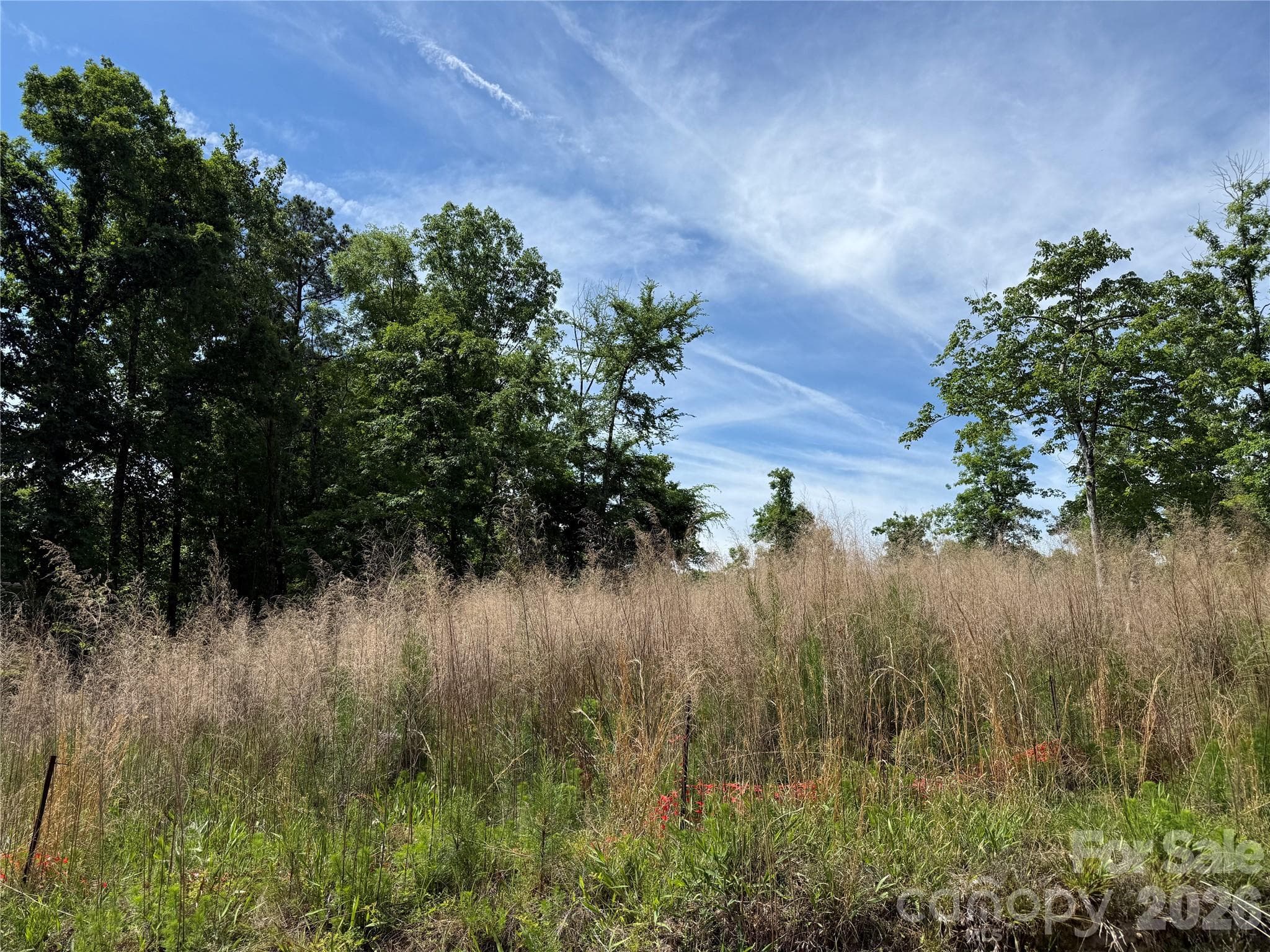 Lot at 426 Morrison Farm Road, Troutman, photo 2 of 15